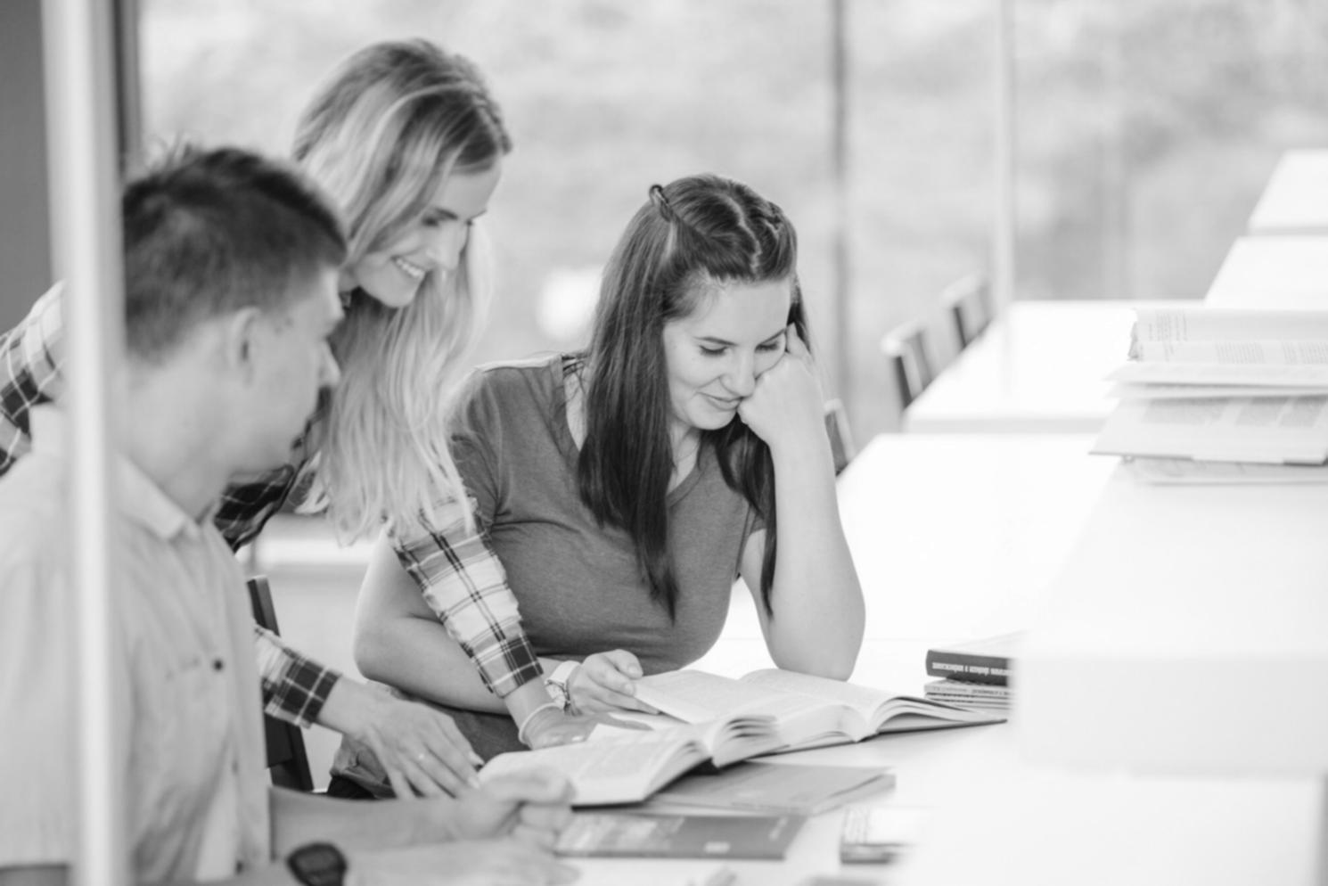 Interface de catégorisation automatique des transactions